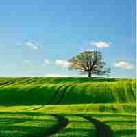 数​据﻿备‌份​常‌用‌方‍法‌